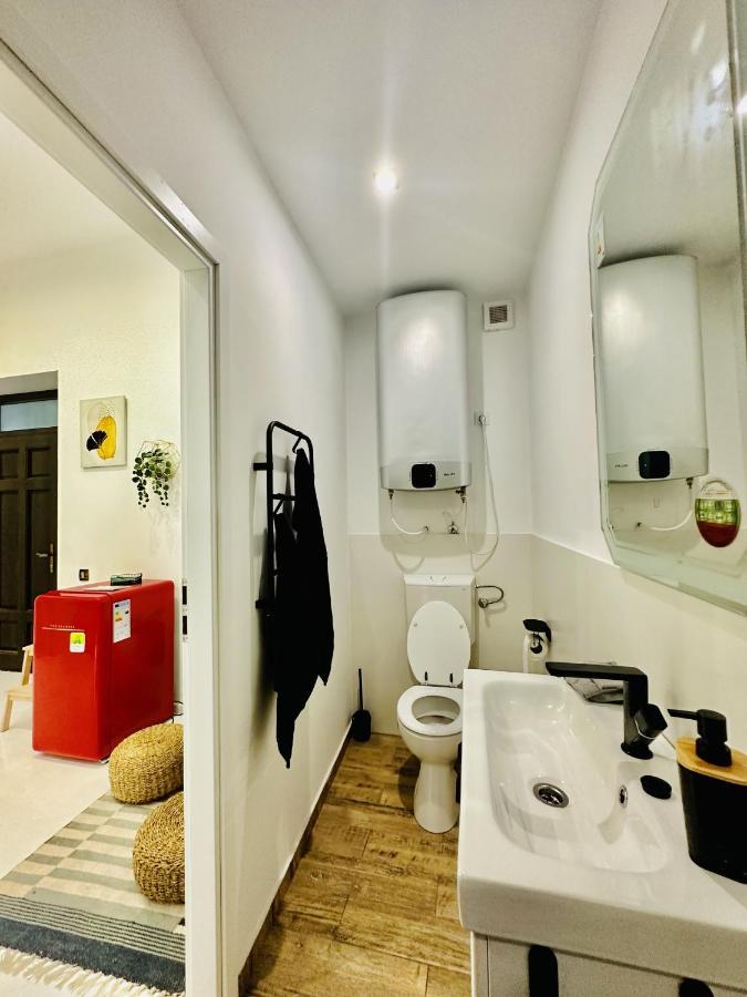 Clever Studio Near Central Shopping Center Cluj-Napoca Exteriör bild
